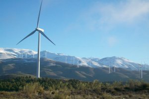 Parque  eólico en las Tres Villas, una energía renovable con menos instalaciones que la solar, pero con más potencia de producción en la provincia.