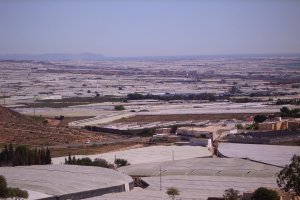 La finalización de la campaña agrícola está muy relacionada con estos datos.