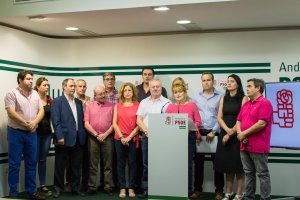 Alcaldes y concejales socialistas, junto a Adela Segura, durante la rueda de prensa.