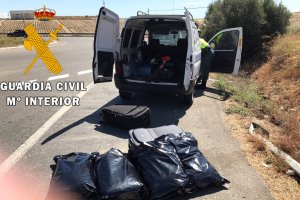 Cogollos de marihuana interceptados por la Guardia Civil.