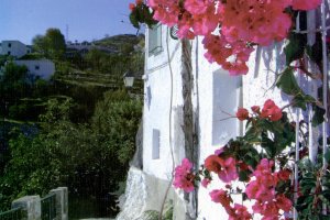 Estampa típica de Olula de Castro.