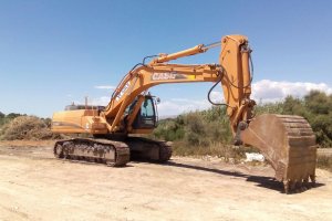 Agentes de Medio Ambiente han paralizado las obras en el Salar de los Canos.