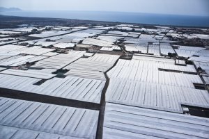 Invernaderos en la Vega de Almería
