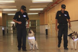 Unidad canina de la Policía Nacional en el centro penitenciario de Almería.