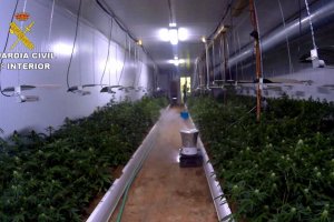El interior de la nave donde se encontró la plantación de marihuana