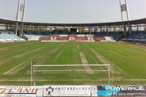 Así se ve el campo desde el fondo sur.