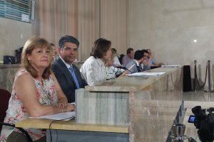 Mabel Hernández junto a Miguel Cazorla en una sesión plenaria