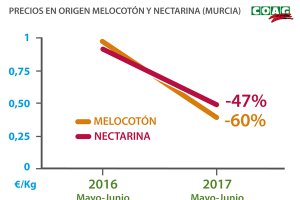Los precios de la fruta de hueso murciana se derrumban este verano ante el dominio de la Gran Distribución.