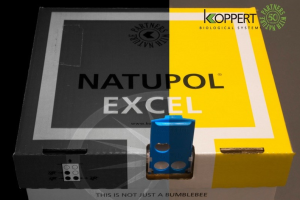 Nueva colmena con el control visual para abejorros