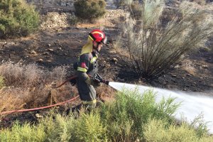 Hasta 32 bomberos trabajaron en la extinción del incendio.