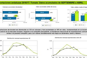 Gráficos donde se muestran los principales indicadores de la exportación de tomate durante esta campaña y la anterior.