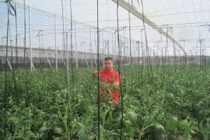 Crecen los contratos definidos en la agricultura española.