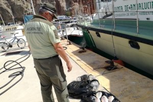 Un agente junto a parte de la red ilegal y el pescado decomisado.