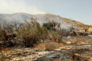 El incendio quedó extinguido ayer a las 12:00 horas.