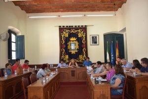 Pleno de Níjar celebrado este viernes