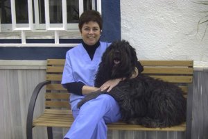 El colegio de Veterinarios alerta de los efectos de los golpes de calor en las mascotas.