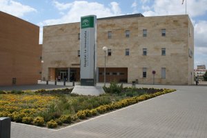 La víctima tuvo que ser trasladada al Hospital de La Inmaculada por sus lesiones.