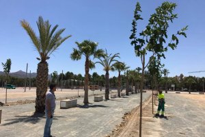 Nuevos árboles plantados en el Recinto Ferial.