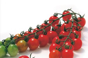 Imagen de bodegón de tomate cherry pera, uno de los productos más codiciados por los supermercados europeos.