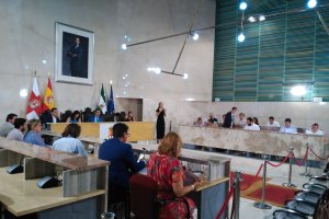 Imagen del Pleno celebrado esta mañana en el Ayuntamiento.