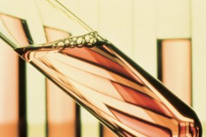 El avance científico que abre el camino para curar enfermedades raras y otras como el cáncer, a través de la edición genética, no podrá ser aplicado 