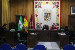 Comisión Local de Comercio Ambulante de Huércal-Overa.