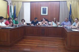 Pleno La expulsión de María Luisa Cervantes deja en sus manos el futuro del Gobierno municipal de Turre.