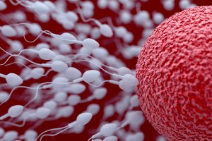 La mala fertilidad es un problema que acusan muchos andaluces.