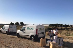 Labores de desratización en la zona afectada.