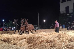 Trillando la era Una tradición que volvió a recuperarse. Foto: M. A.