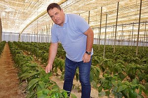 Antonio Moreno, responsable de Seguros Agrarios de COAG