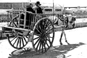 Un carro de madera, guiado por un hombre de avanzada edad, con una anciana sentada atrás en una silla, bajando por el malecón de la Rambla. Al fondo 