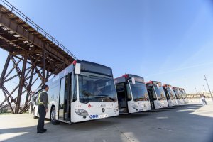 Autobuses de la flota de Surbús incorporados hace unos meses.