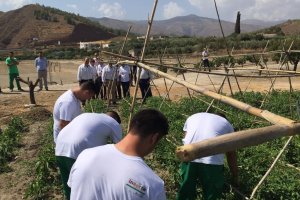 Jóvenes trabajando en uno de los huertos, son observados por los consejeros (al fondo), durante la visita.