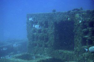 Arrecife artificial en los fondos marinos de la provincia.
