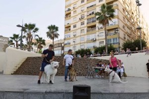 Más de 50 perros participaron en esta cita en el Anfiteatro de la Rambla.