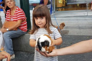 Una de las mascotas participantes.