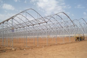 Invernadero en construcción.