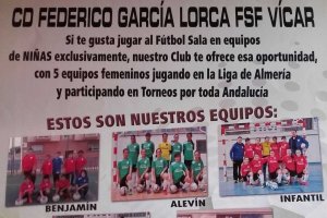 Nuevas categorías para la cantera vicaria.