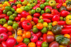 Variedades de tomate.