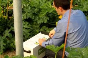 Imagen de Scoutbox obtenida de Youtube.