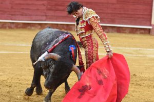 Curro Díaz, uno de los acartelados en Vera. (Foto: B. Gálvez)