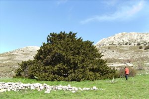 Ruta por un paraje espectacular.
