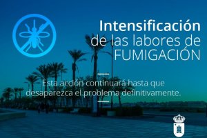 El Ayuntamiento asegura que se sigue trabajando para acabar con los mosquitos.