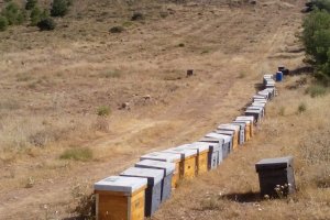 Explotación afectada por el robo