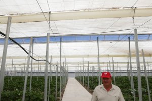 Gabriel Rodríguez (57) posa en su explotación renovada para esta campaña, donde cultiva pimiento California.