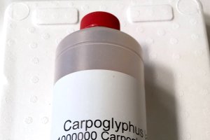 Un bote de Carpoglyphus distribuido por Koppert España.