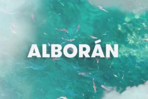 El próximo SUV de Seat podría llamarse Alborán.