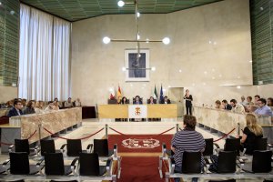 Pleno extraordinario del Ayuntamiento de Almería