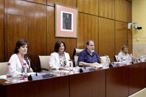 Comparencia de la consejera de Igualdad en el Parlamento de Andalucía